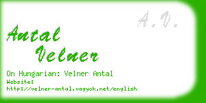 antal velner business card